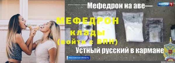 сатива Коряжма