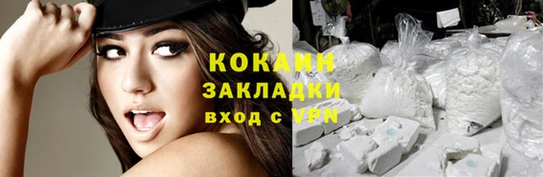сатива Коряжма