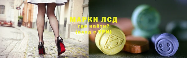 сатива Коряжма