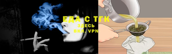 сатива Коряжма