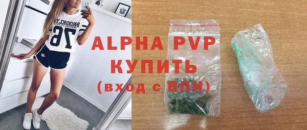 сатива Коряжма